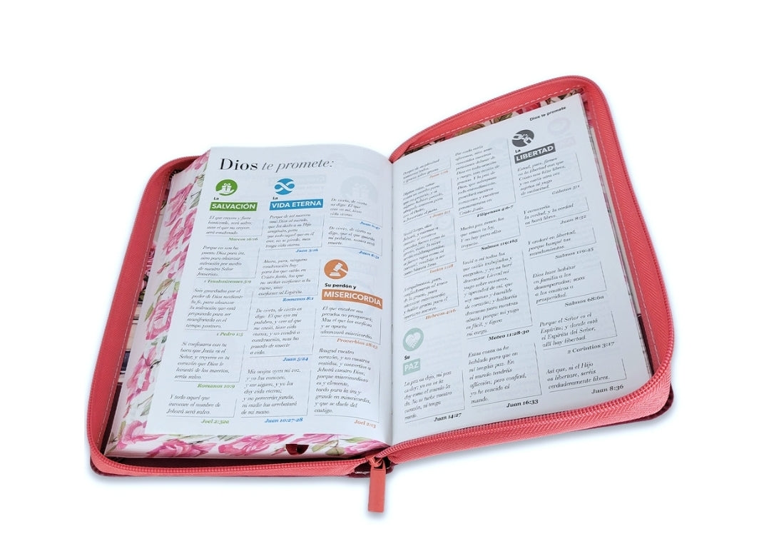 Biblia con Cierre Letra Grande 12 puntos RV1960 imit piel granada con índice - Yo y mi casa