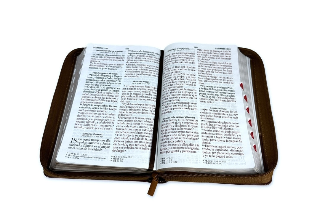 Biblia con Cierre Letra Gigante Manual 14 puntos RV1960 imit piel café con índice - Frutos del Espíritu