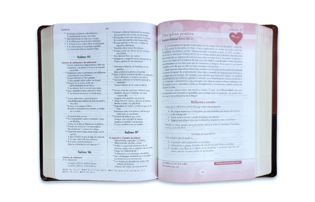 Biblia Devocional, Los Lenguajes del Amor RV1960, imit. piel, duotono, marrón