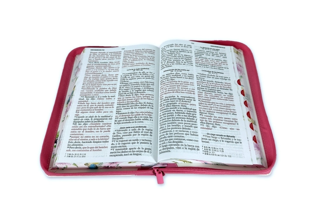 Biblia con Cierre Letra Grande 12 puntos RV1960 imit. piel rosa pajaro floral con índice y canto pintado primaveral rosado