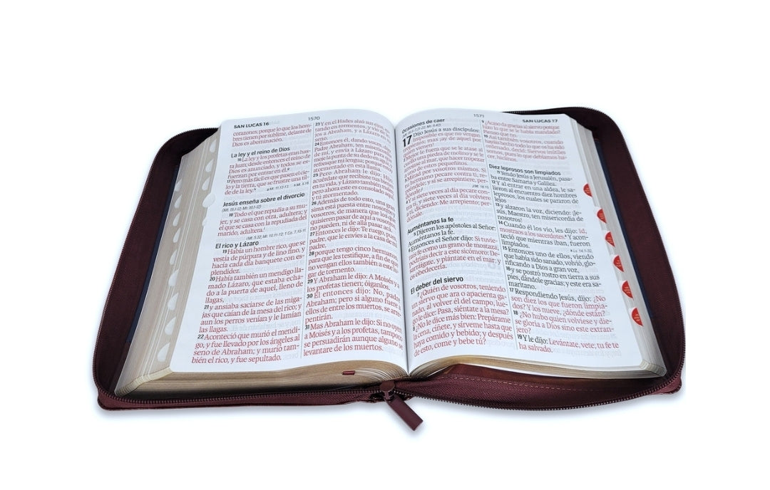 Biblia con Cierre Letra Súper Gigante 19 puntos RV1960 imit piel duotono azul y café con índice - Examíname, oh Dios