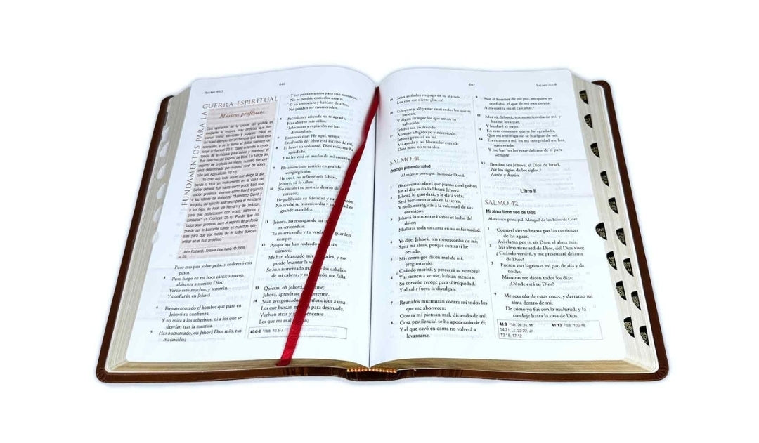 Biblia para la Guerra Espiritual RV1960, imit. piel marrón con índice