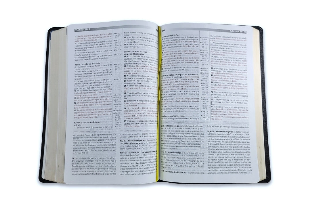 Biblia de Estudio de la Profecía, piel negra