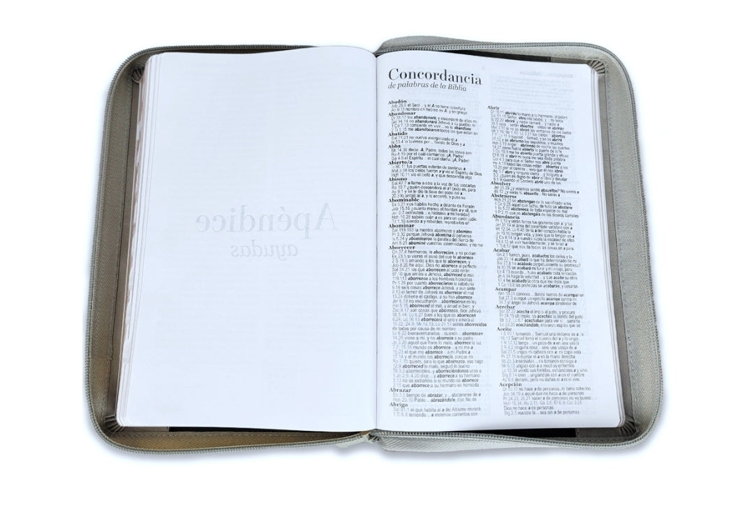 Biblia con Cierre Letra Grande 12 puntos RV1960 imit piel negro y gris león con índice