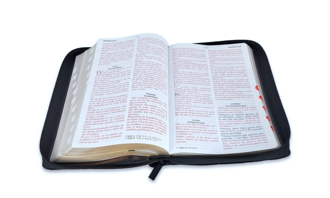 Biblia con Cierre Letra Grande 12 puntos RV1960 imit piel negro león en pie con índice