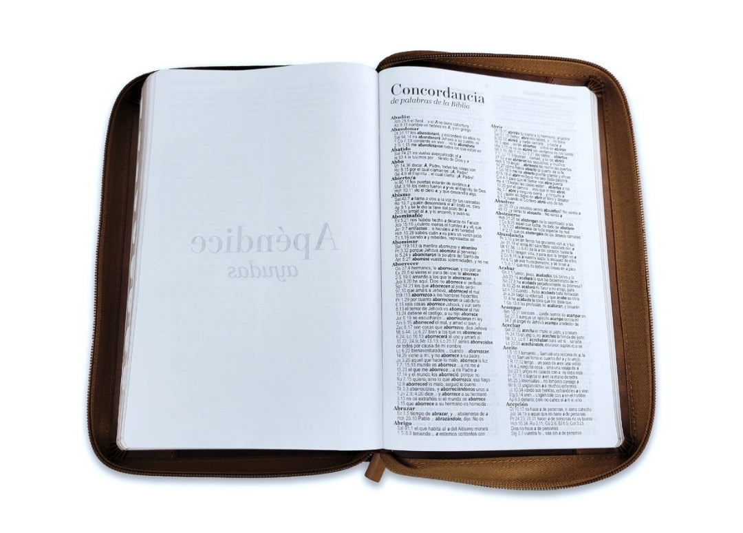 Biblia con Cierre Letra Grande 12 puntos RV1960 imit piel café ichtus con índice