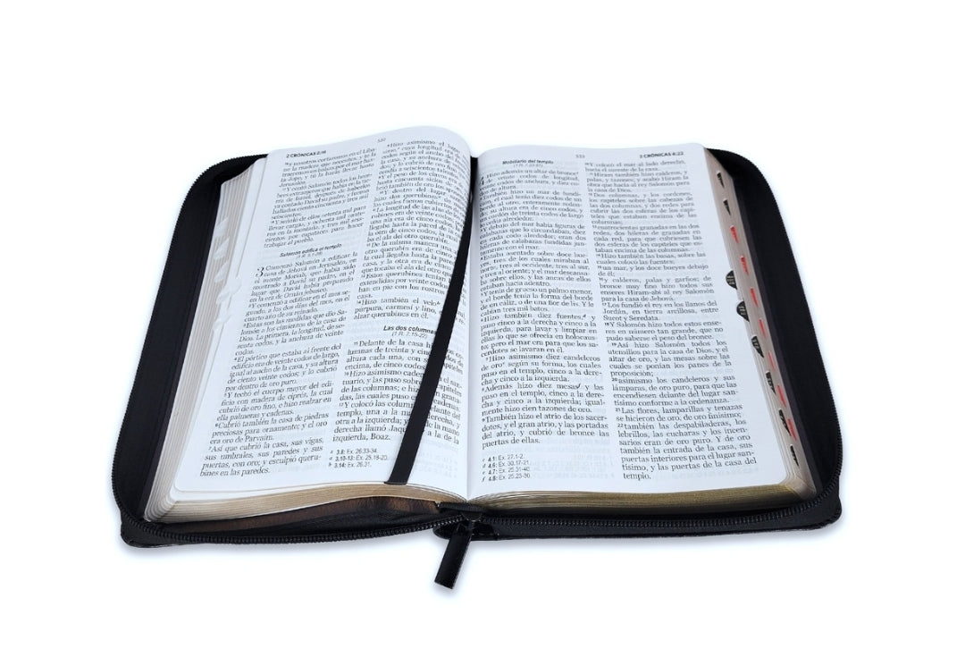 Biblia con Cierre Letra Grande 12 puntos RV1960 imit piel negro león en pie con índice
