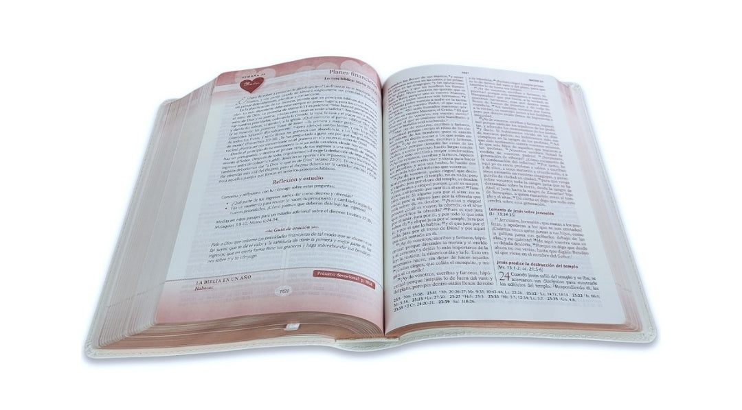 Biblia Devocional, Los Lenguajes del Amor RV1960 - Gary Chapman, imit piel oro rosa
