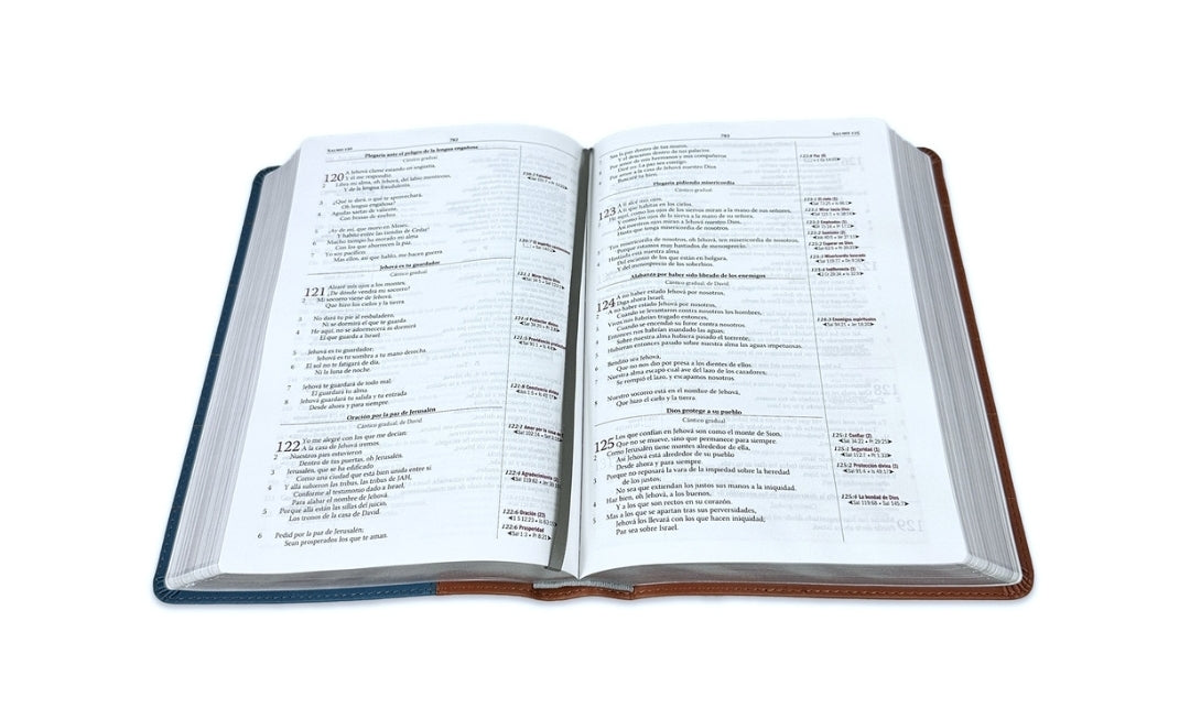 Biblia Thompson RV1960, Edición especial para el estudio bíblico, imit. piel, duotono, azul y marrón