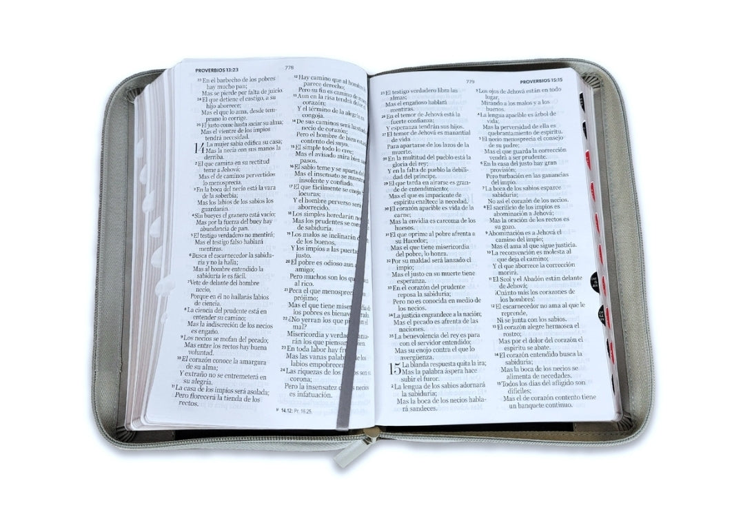 Biblia con Cierre Letra Grande 12 puntos RV1960 imit piel negro y gris león con índice