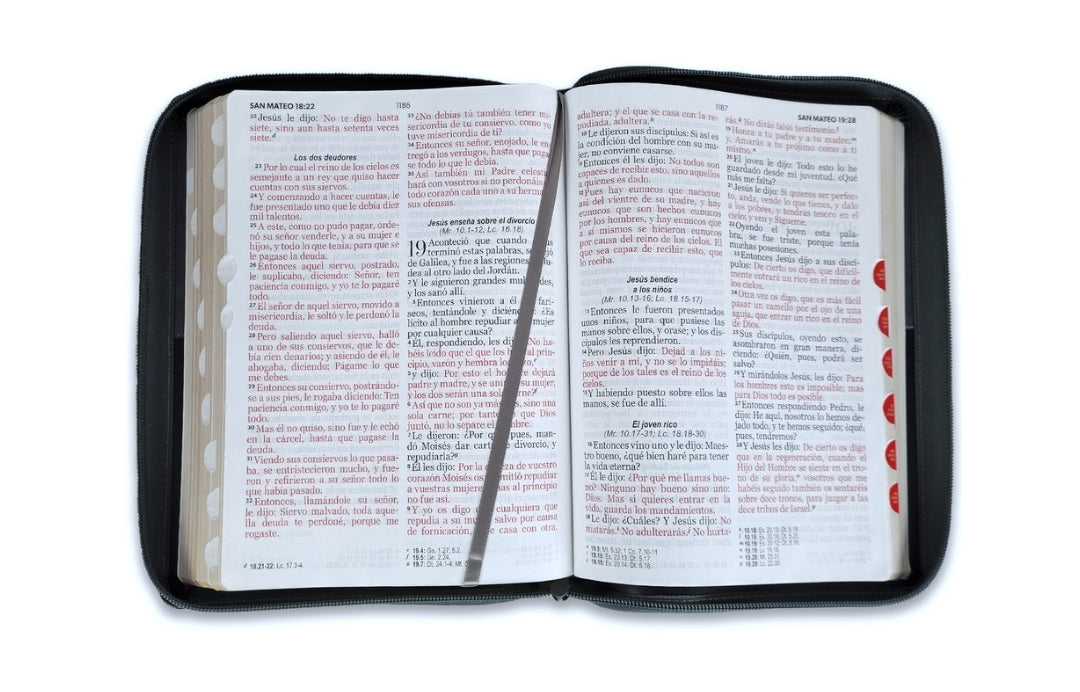 Biblia con Cierre Letra Gigante 15 puntos RV1960 imit piel negro y gris león con índice