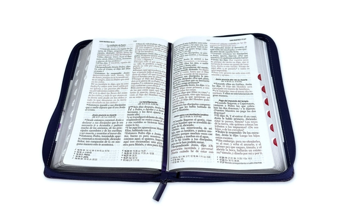 Biblia con Cierre Letra Grande 12 puntos RV1960 imit. lila y flores con índice