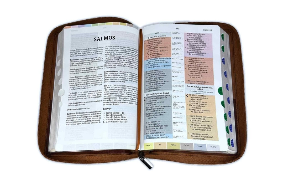 Biblia de Estudio Arco Iris con Cierre RV1960 imit piel duotono café con índice - Pero los que esperan a Jehová