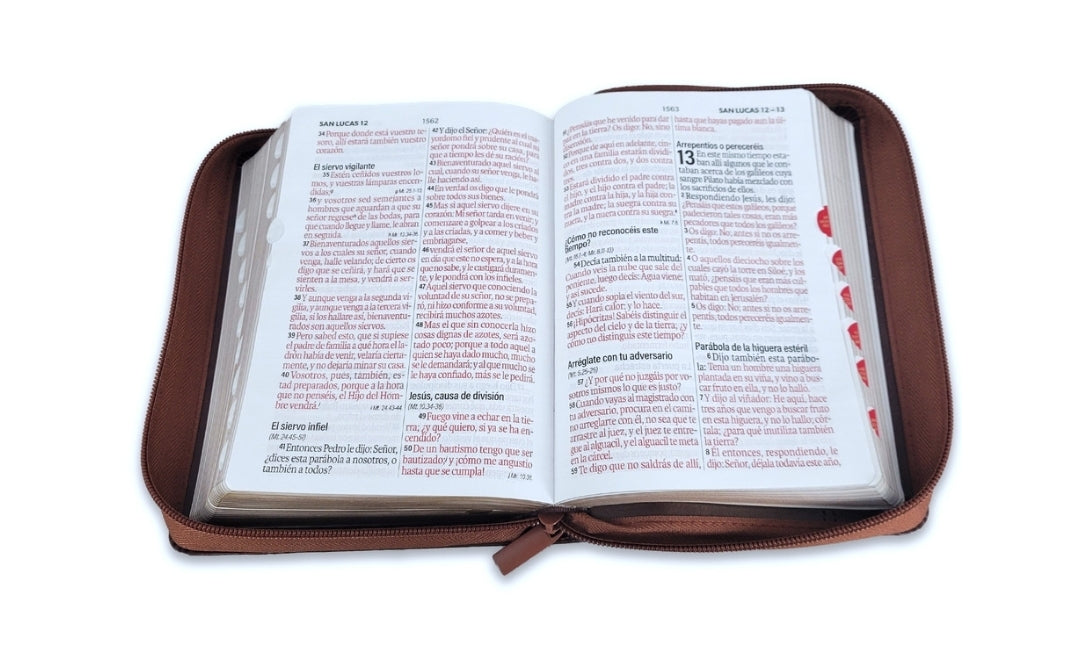 Biblia con Cierre Compacta 12 puntos RV1960, imit piel café ichtus con índice