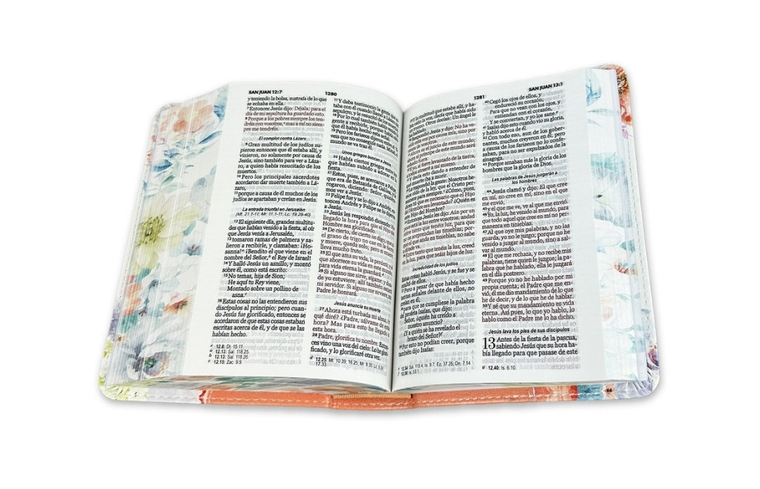Biblia de Bolsillo RV1960 imit piel con canto coral
