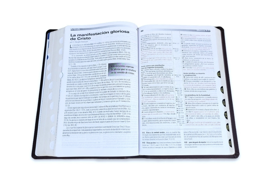 Biblia de Estudio de la Profecía, piel café