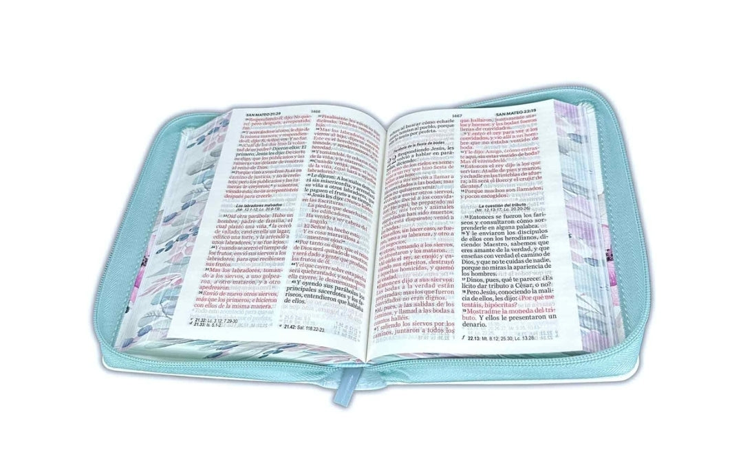 Biblia con Cierre Compacta 11 puntos RV1960 imit piel con canto pintado primaveral azul claro