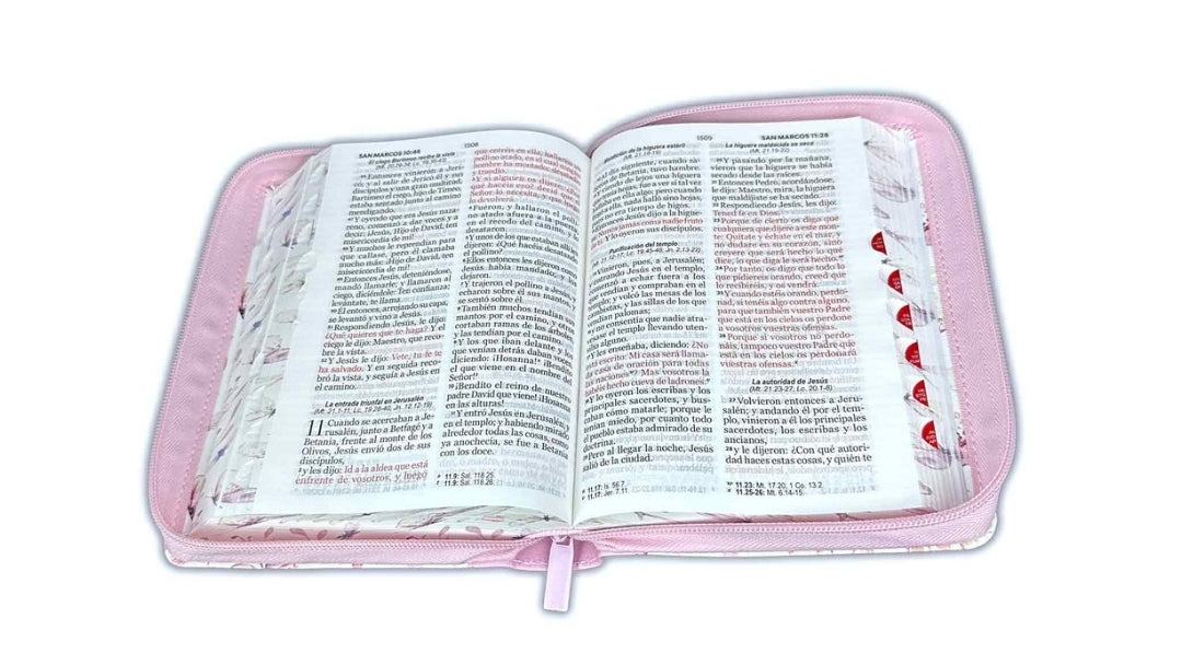 Biblia con Cierre Compacta 11 puntos RV1960 imit piel con canto pintado rosado y mariposas con índice