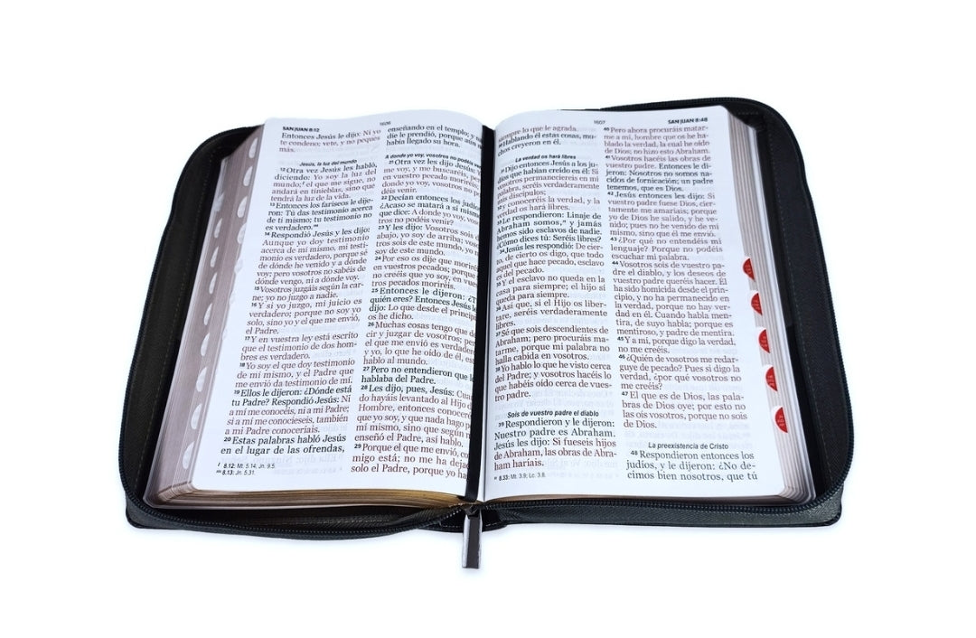 Biblia León con Cierre Letra Gigante Manual 14 puntos RV1960 imit piel negro con índice