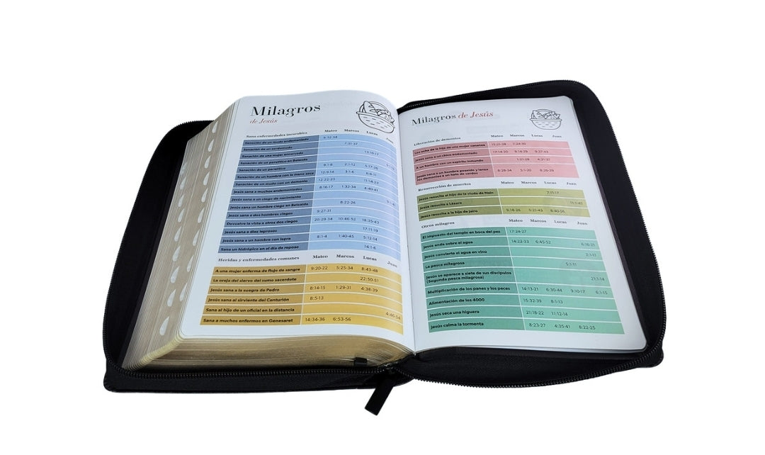 Biblia con Cierre Letra Grande 12 puntos RV1960 imit piel negro cordero y león con índice