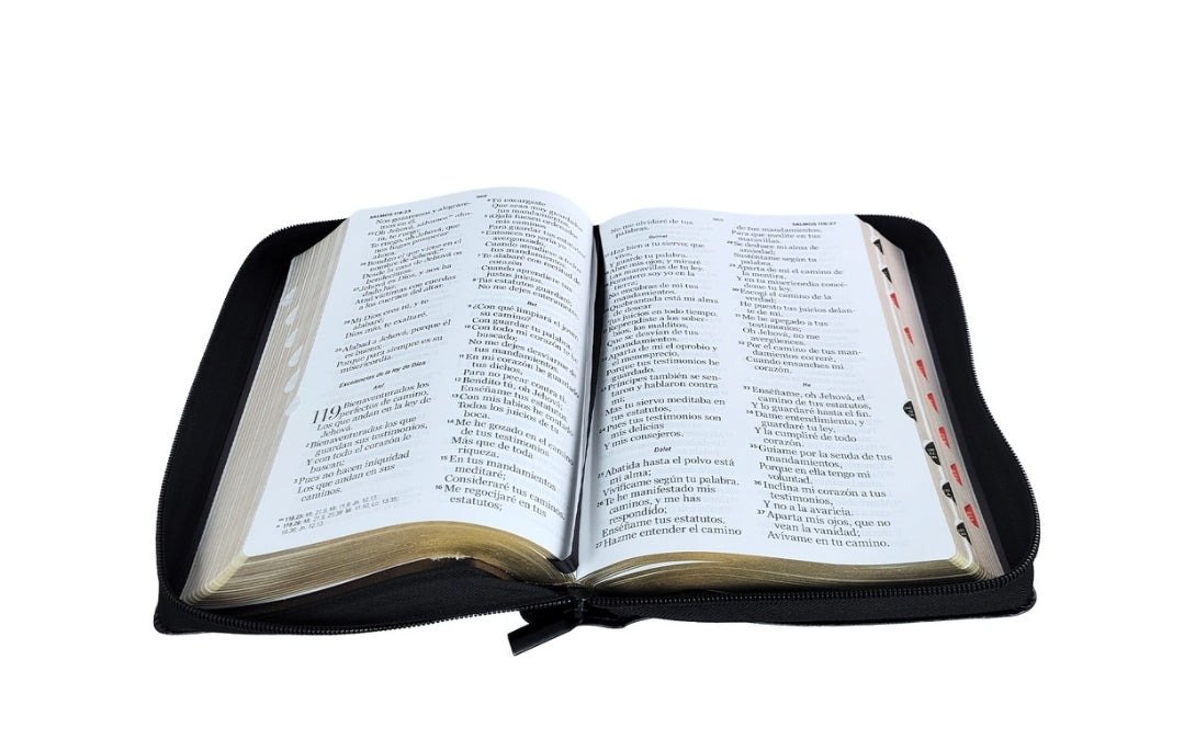 Biblia con Cierre Letra Grande 12 puntos RV1960 imit piel negro cordero y león con índice