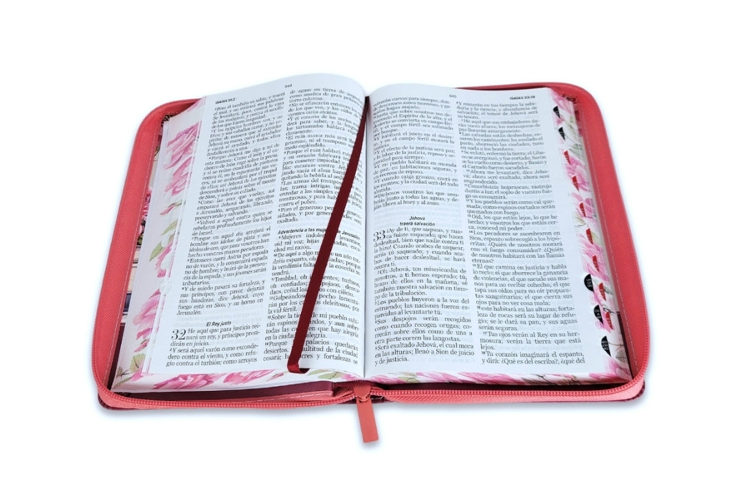 Biblia con Cierre Letra Grande 12 puntos RV1960 imit piel granada con índice - Yo y mi casa