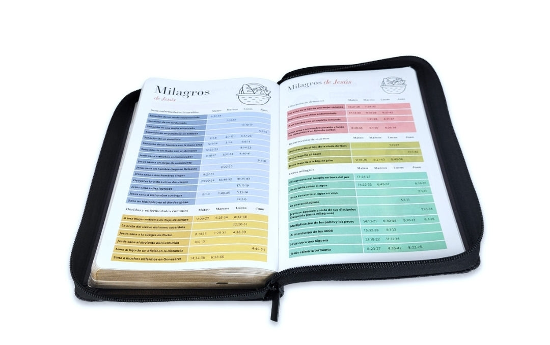 Biblia con Cierre Letra Grande 12 puntos RV1960 imit piel negro león en pie con índice