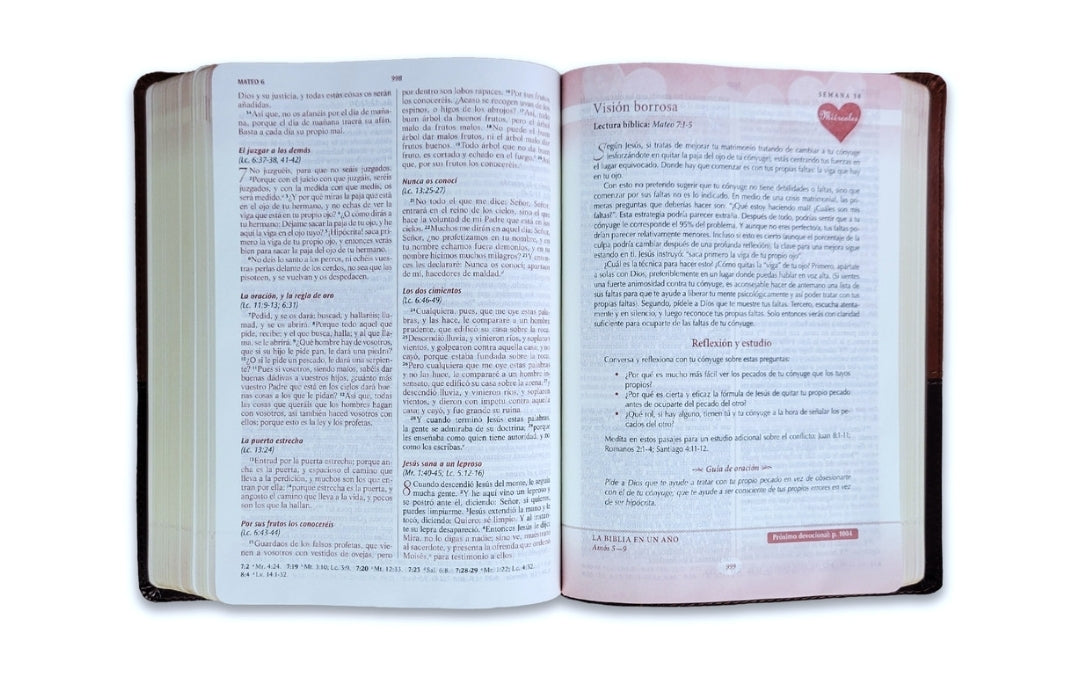 Biblia Devocional, Los Lenguajes del Amor RV1960, imit. piel, duotono, marrón