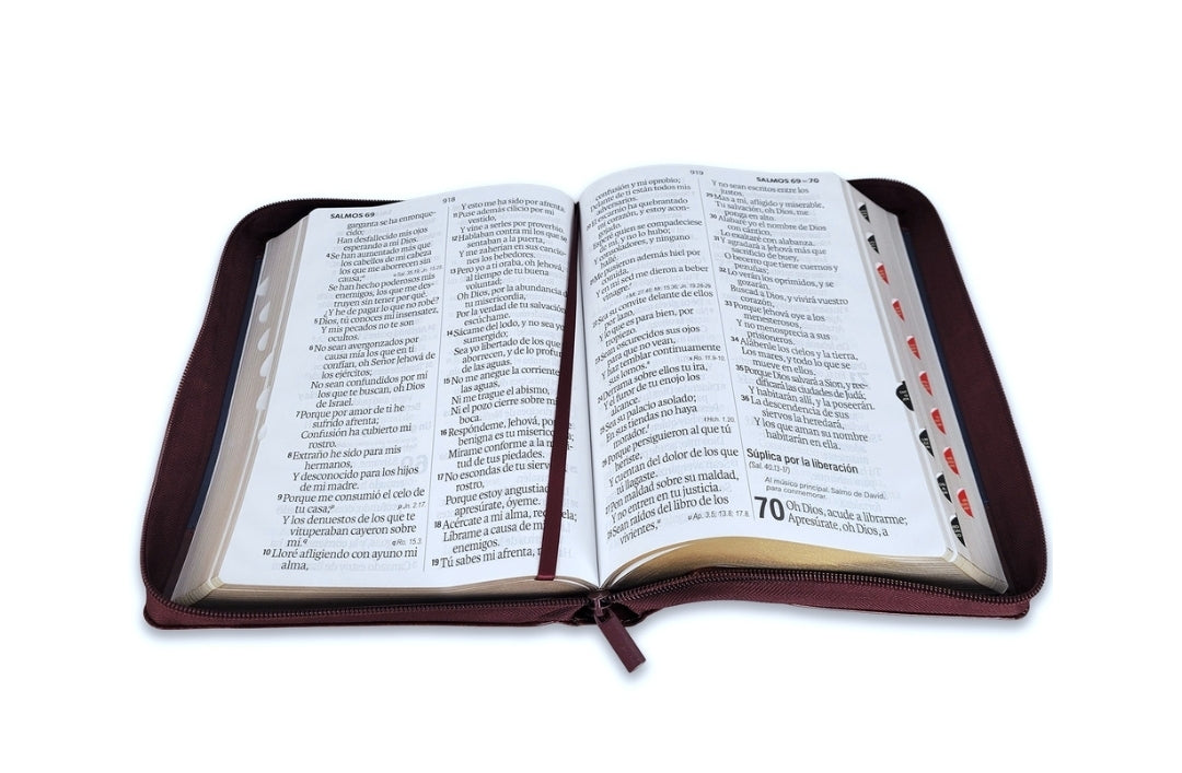 Biblia con Cierre Letra Súper Gigante 19 puntos RV1960 imit piel duotono azul y café con índice - Examíname, oh Dios