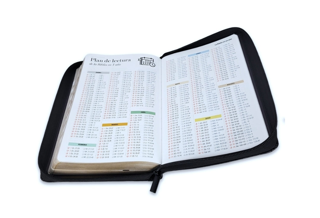 Biblia con Cierre Letra Grande 12 puntos RV1960 imit piel negro león en pie con índice