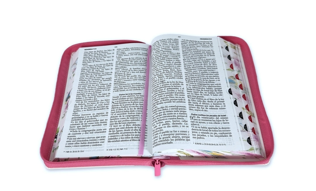 Biblia con Cierre Letra Grande 12 puntos RV1960 imit. piel rosa pajaro floral con índice y canto pintado primaveral rosado