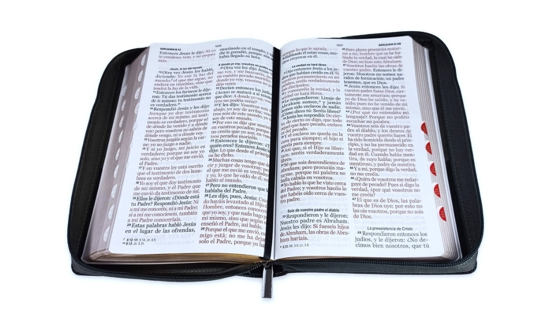 Biblia León con Cierre Letra Gigante Manual 14 puntos RV1960 imit piel negro con índice