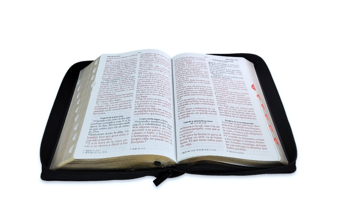 Biblia con Cierre Letra Grande 12 puntos RV1960 imit piel negro cordero y león con índice