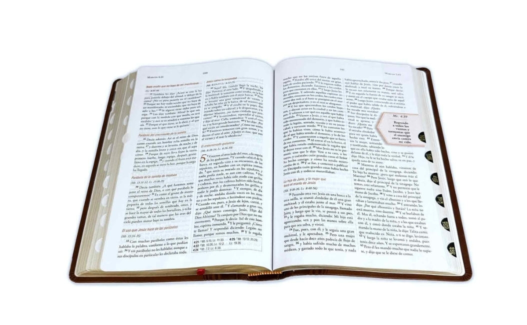 Biblia para la Guerra Espiritual RV1960, imit. piel marrón con índice