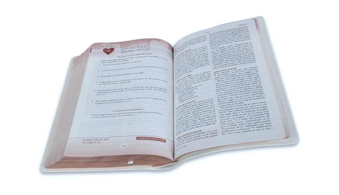 Biblia Devocional, Los Lenguajes del Amor RV1960 - Gary Chapman, imit piel oro rosa