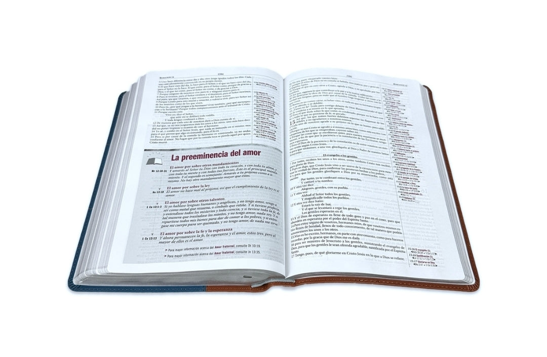 Biblia Thompson RV1960, Edición especial para el estudio bíblico, imit. piel, duotono, azul y marrón