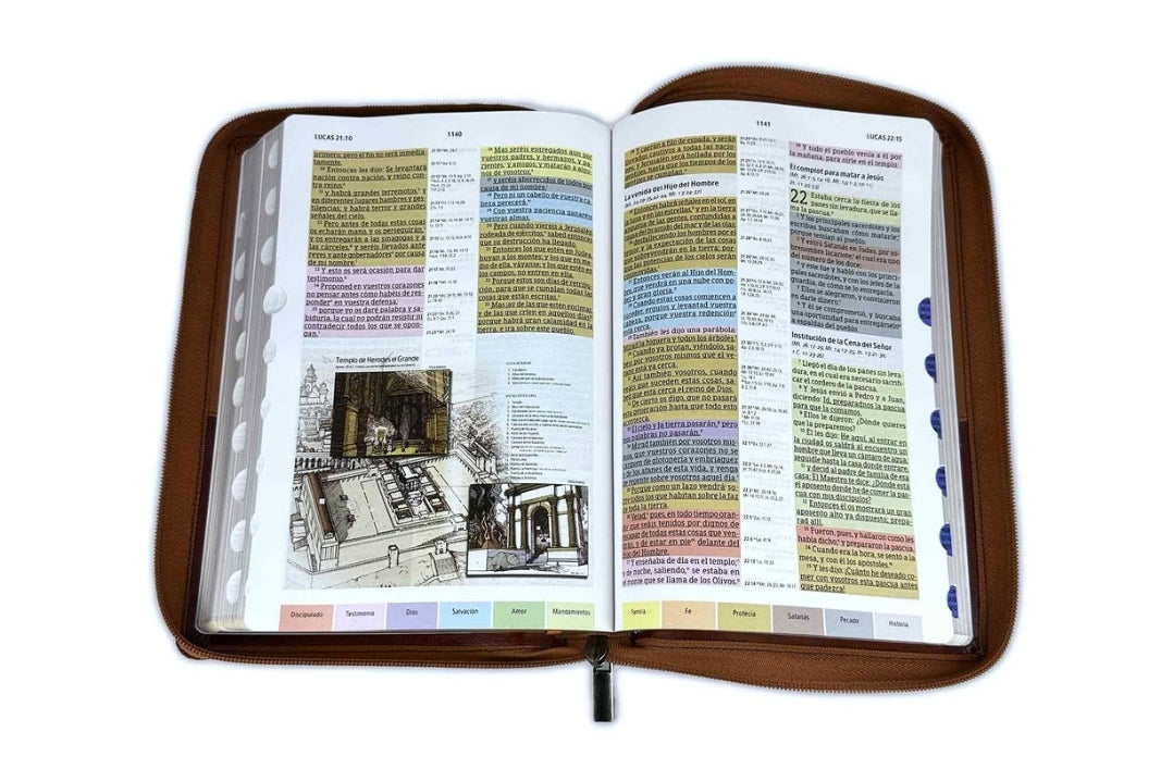 Biblia de Estudio Arco Iris con Cierre RV1960 imit piel duotono café con índice - Pero los que esperan a Jehová