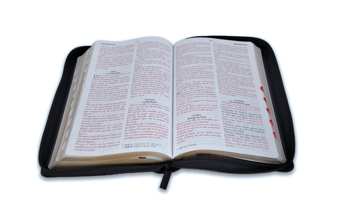 Biblia con Cierre Letra Grande 12 puntos RV1960 imit piel león y cordero negro con índice
