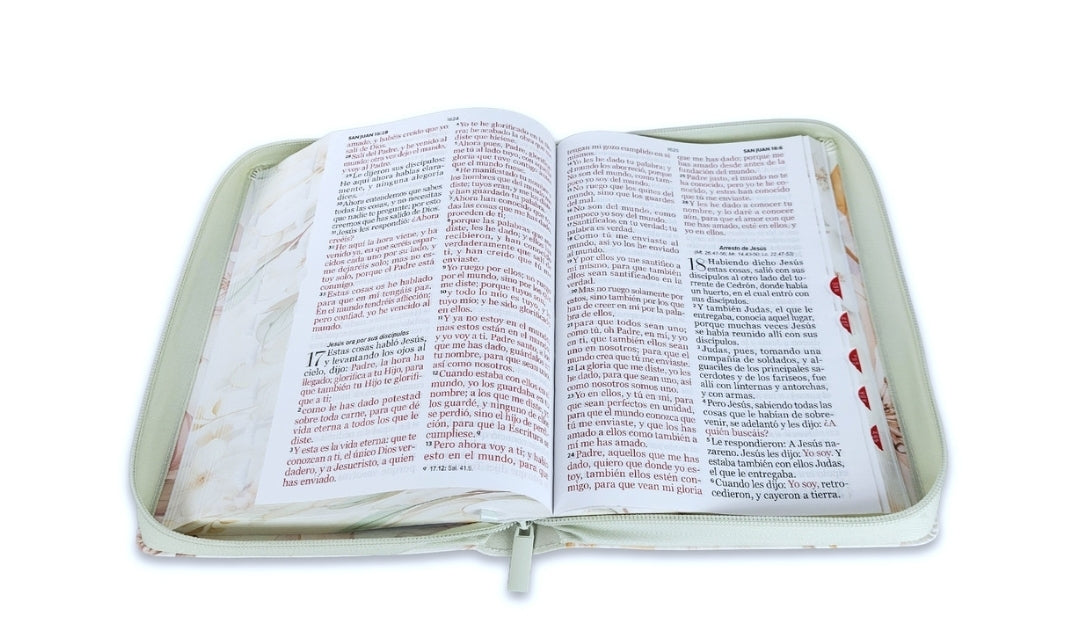 Biblia con Cierre Letra Gigante Manual 14 puntos RV1960 imit piel verde menta fantasía floral con índice y canto floral