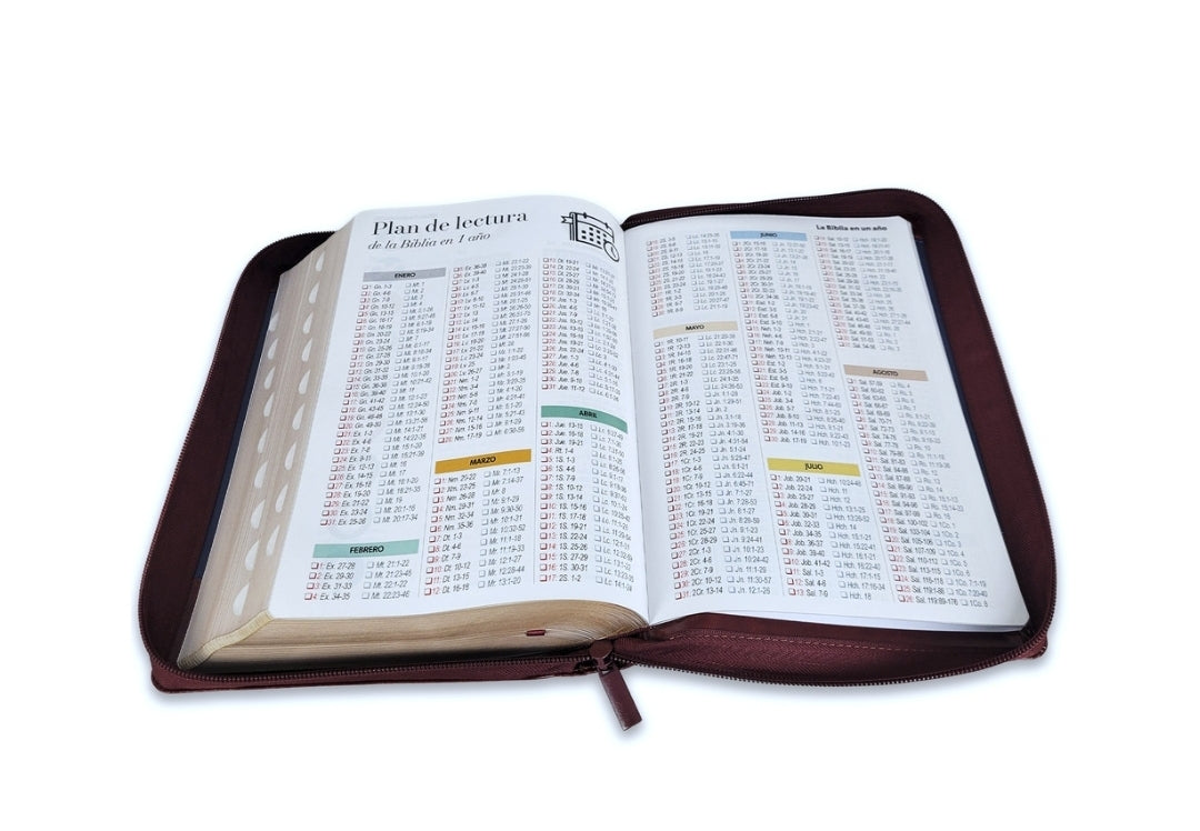 Biblia con Cierre Letra Súper Gigante 19 puntos RV1960 imit piel duotono azul y café con índice - Examíname, oh Dios