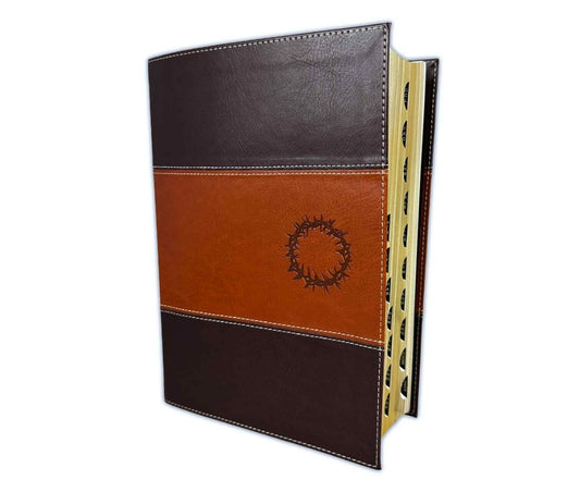 Biblia de Estudio del Diario Vivir Letra Grande Nueva Traducción Viviente NTV - sentipiel café con índice