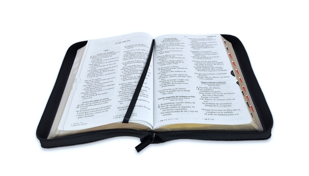 Biblia con Cierre Letra Grande 12 puntos RV1960 imit piel negro geométrico con índice