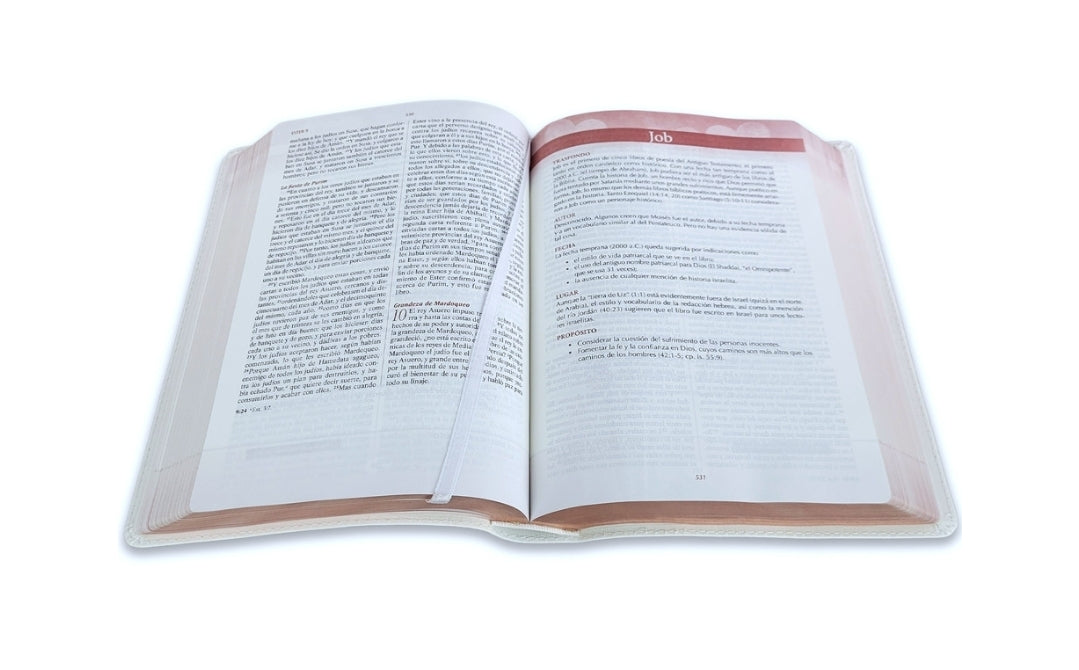 Biblia Devocional, Los Lenguajes del Amor RV1960 - Gary Chapman, imit piel oro rosa