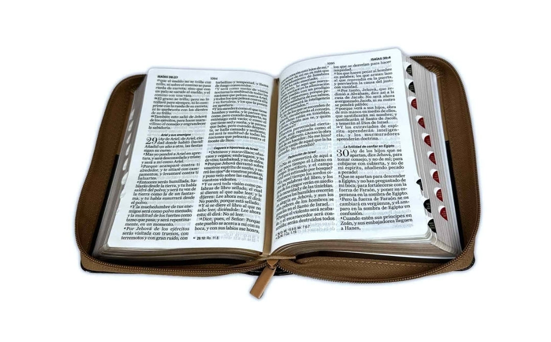 Biblia Águila con Cierre Compacta 11 puntos RV1960 imit café con índice - Pero los que esperan a Jehová