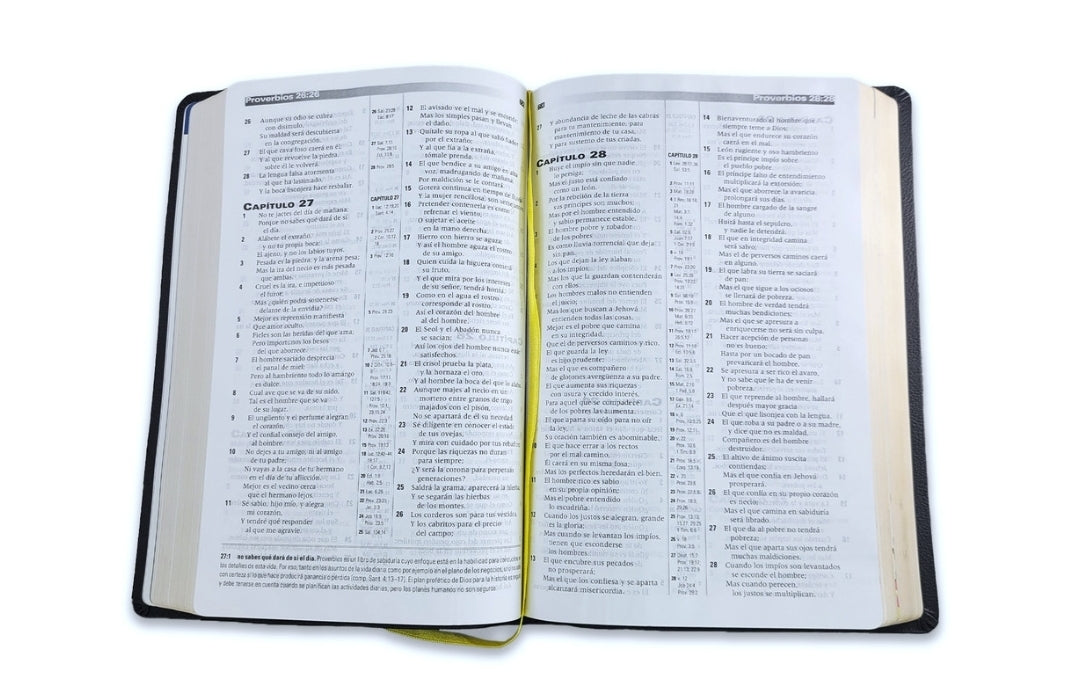 Biblia de Estudio de la Profecía, piel negra