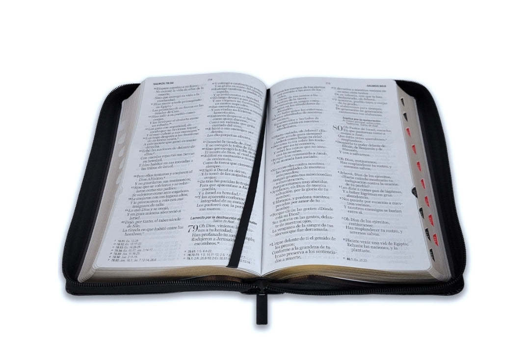 Biblia con Cierre Letra Grande 12 puntos RV1960 imit piel león y cordero negro con índice