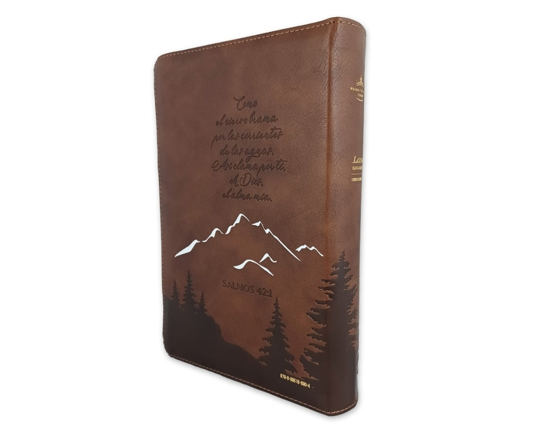 Biblia con Cierre Letra Gigante Manual 14 puntos RV1960 imit piel café con índice - Como el ciervo brama
