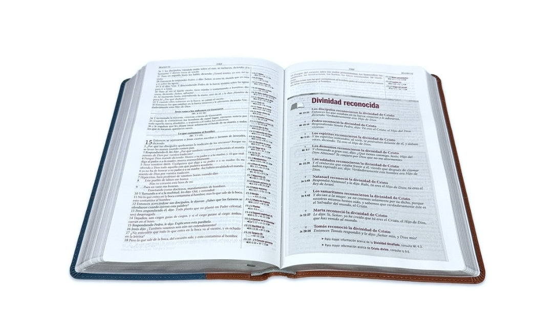 Biblia Thompson RV1960, Edición especial para el estudio bíblico, imit. piel, duotono, azul y marrón