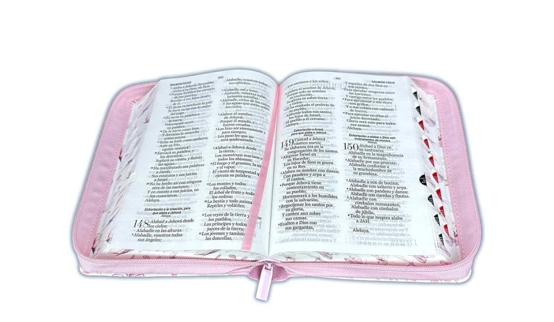 Biblia con Cierre Compacta 11 puntos RV1960 imit piel con canto pintado rosado y mariposas con índice