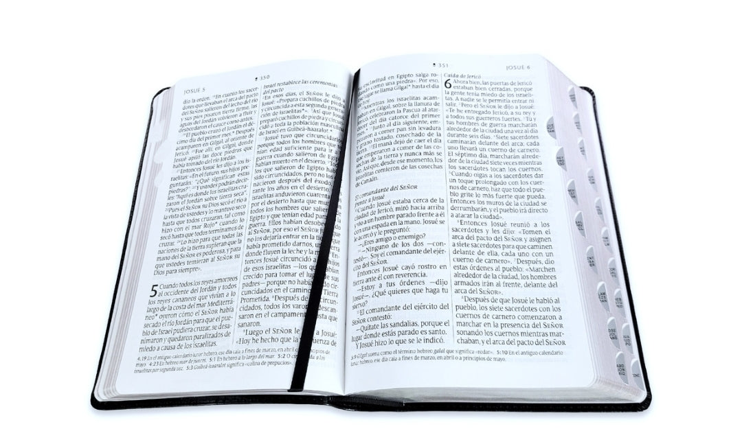 Biblia Letra Gigante Manual NTV, imit piel negro con índice